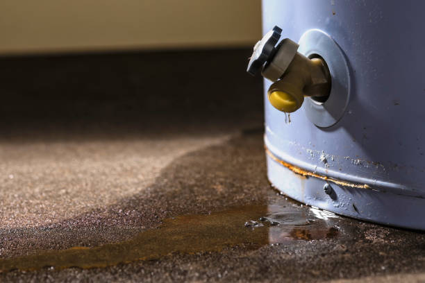 Best Professional water damage repair  in Fort Stewart, GA