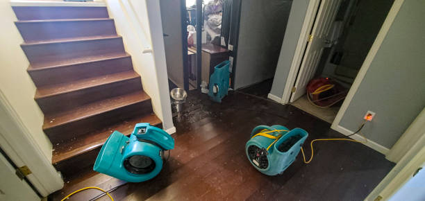 Best 24/7 water damage repair  in Fort Stewart, GA