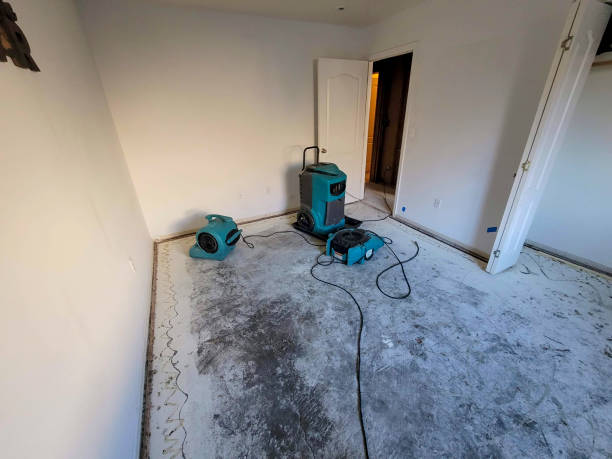 Best Residential water damage restoration  in Fort Stewart, GA