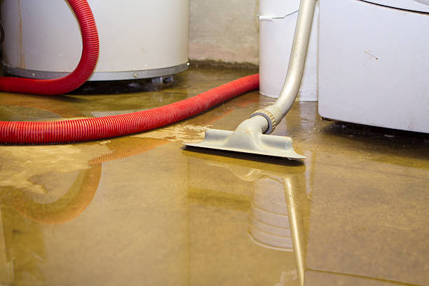 Best Flooded house restoration  in Fort Stewart, GA