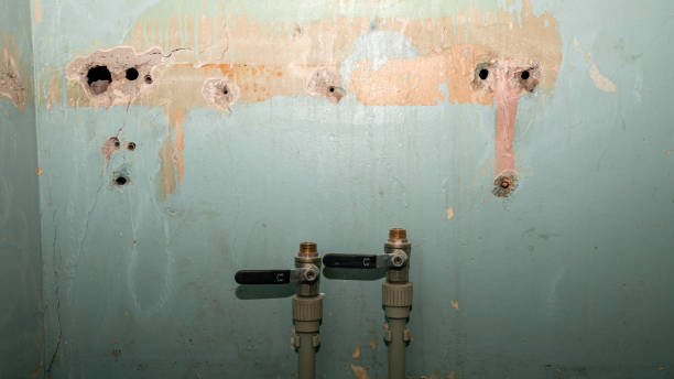 Best Ceiling water damage repair  in Fort Stewart, GA
