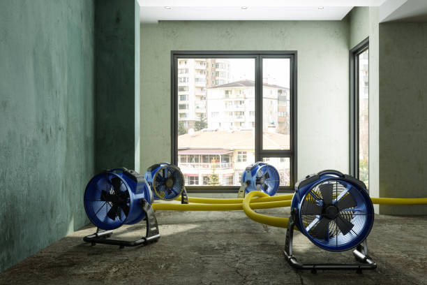 Best Basement water damage restoration  in Fort Stewart, GA